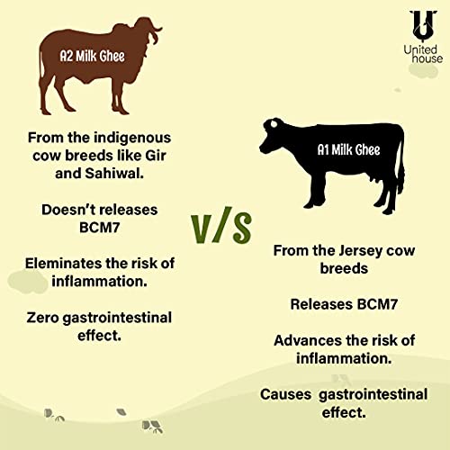 Khari Foods A2 Milk Cultured Cow Ghee | Bilona Hand Churned | Lab Tested, 100% Pure (200 ml)