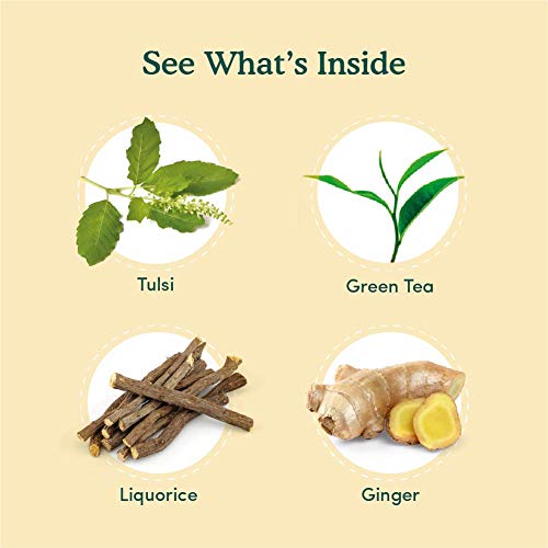VAHDAM Organic Tulsi Ginger Tea - 15 Green Tea Bags | 100% Whole Leaf, USDA Certified Green Tea for Weight Loss Fast | Pure Detox Tea & Digestive Health Drink