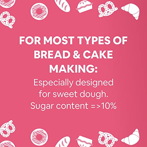 5:15PM Instant Dry Active Yeast Powder for Baking Bread and Pizza, 100 g