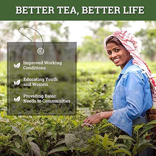 Twinings Pure Green Tea, 50 gm