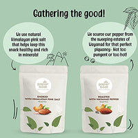 Paper Boat Premium Healthy Snack Combo: Roasted Nuts with Wayanad Pepper + Smoked & Roasted Nuts with Himalayan Pink Salt, Almonds & Cashews Mix Dry Fruit Pouch (2 x 100 g)