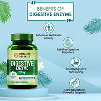 Himalayan Organics Digestive Enzyme Supplement with Bromelain & Papain � For Healthy Digestion � 90 Veg Tablets