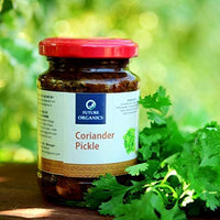 Future Organics Coriander Andhra Pickle - 160 Grams | 100% Fresh Achar with Homemade Taste & Pure Natural Healthy Ingredients