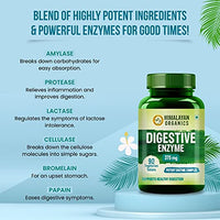 Himalayan Organics Digestive Enzyme Supplement with Bromelain & Papain � For Healthy Digestion � 90 Veg Tablets
