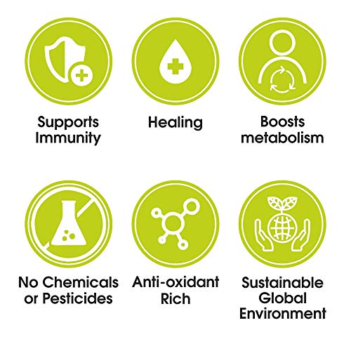 Typhoo Organic Green Tea Bags - Tulsi, 25 Count