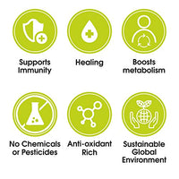 Typhoo Organic Green Tea Bags - Tulsi, 25 Count