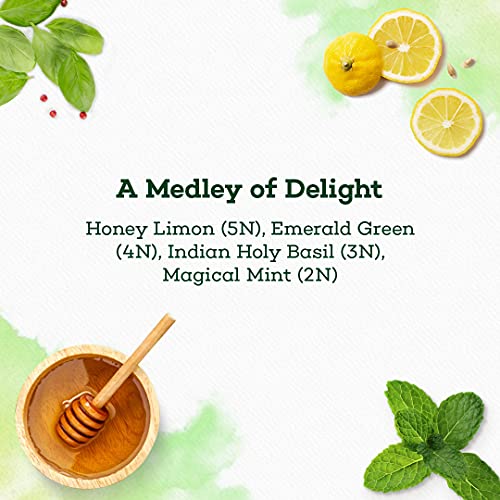 The Hillcart Tales Evergreen Melange Assorted Green Tea, (14 Teabags)