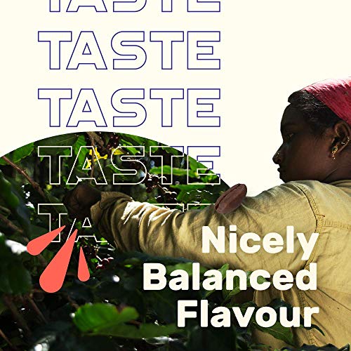 Sleepy Owl Coffee Mocha Hot Brew Bags | Set of 10 Bags - Makes 10 Cups | 3 Step Brew - No Equipment Required | 100% Arabica Beans - Sourced Directly from Farms