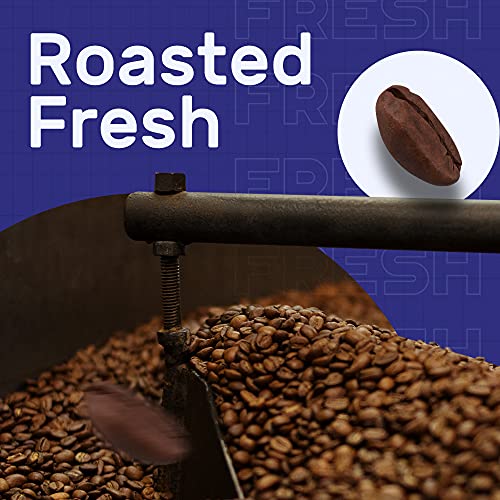 Sleepy Owl Hazelnut Ground Coffee - 100% Arabica Coarse Grind Coffee (Cold Brew, French Press) 250 gms | Freshly Roasted & Ground