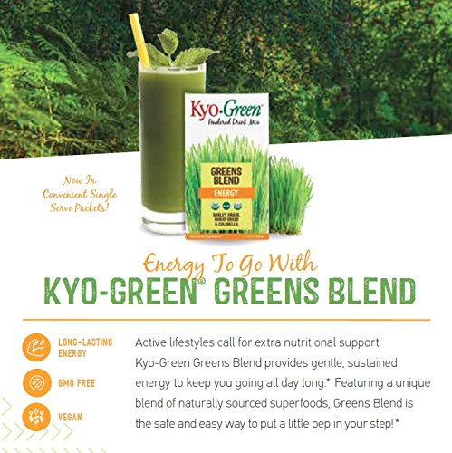 Kyo-Green Green Blends Energy Powered Drink Mix, 10 Ounce Bottle