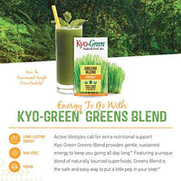 Kyo-Green Green Blends Energy Powered Drink Mix, 10 Ounce Bottle