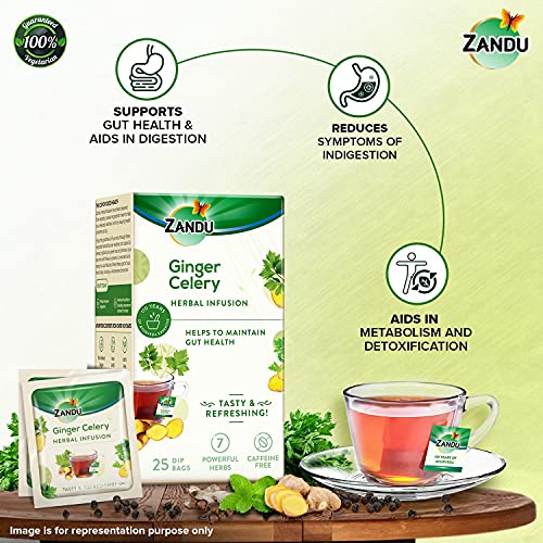 Zandu Ginger Celery Herbal Infusion, a Herbal Tea Enriched with Ayurvedic Ingredients (Pack of 25 Tea Bags X 2)