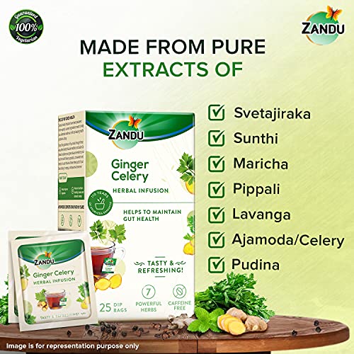 Zandu Ginger Celery Herbal Infusion, a Herbal Tea Enriched with Ayurvedic Ingredients (Pack of 25 Tea Bags X 2)