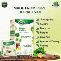 Zandu Ginger Celery Herbal Infusion, a Herbal Tea Enriched with Ayurvedic Ingredients (Pack of 25 Tea Bags X 2)