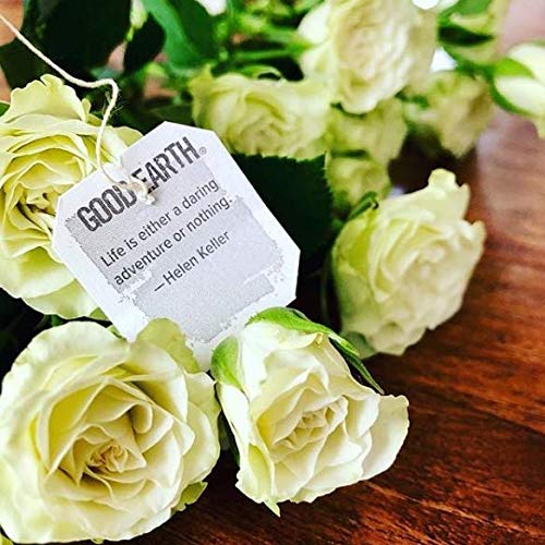 Good Earth Sweet & Spicy, Vanilla Chai Black Tea, 18 Tea Bags (Pack of 6)