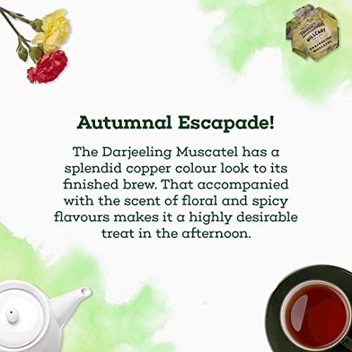 The Hillcart Tales Darjeeling Muscatel Black Tea, (14 Teabags)