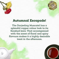 The Hillcart Tales Darjeeling Muscatel Black Tea, (14 Teabags)