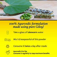 Baidyanath Guduchi (Giloy) Churna - Helps Boost Immunity - 100 gm (pack of 2)