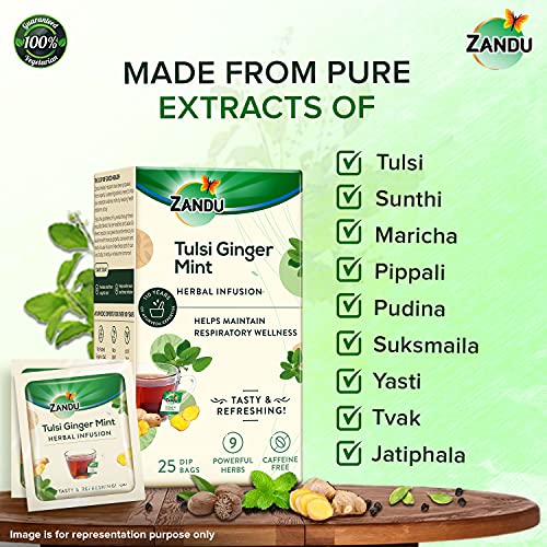 Zandu Tulsi Ginger Mint Herbal Infusion, a Herbal Tea Enriched with Ayurvedic Ingredients (Pack of 25 Tea Bags X 2)