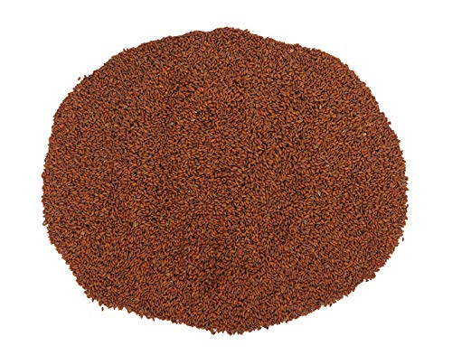 Berries and Nuts Raw Aliv Seed, 250g