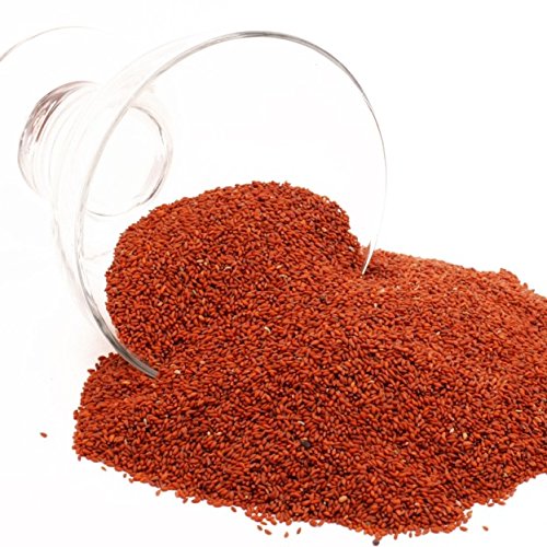 Berries and Nuts Raw Aliv Seed, 250g