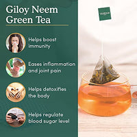 VAHDAM, Organic Giloy Neem Detox Green Tea Bags (15 TBs) | 100% Whole Leaf Green Tea for Weight Loss & Immunity | Detox Tea with HIGH ANTIOXIDANTS