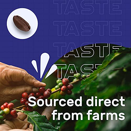 Sleepy Owl Hazelnut Ground Coffee - 100% Arabica Coarse Grind Coffee (Cold Brew, French Press) 250 gms | Freshly Roasted & Ground