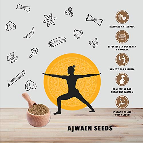 Organature Premium Fresh Whole Ajwain Seeds | Carom Seeds | Ajamo | Bishop's  Weed Pack of - (400 Grams)