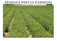 Zindagi Stevia Sachets & Stevia Liquid Drops - Sugar-Free Sweetener (Stevia Combo Pack)