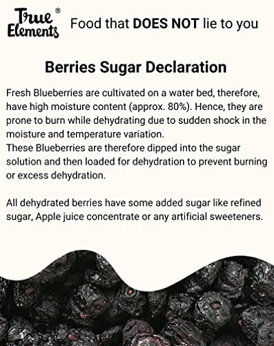 True Elements Blueberry 125g - Vitamin Rich Blue berries | Healthy Snack | Blueberry Dry Fruit