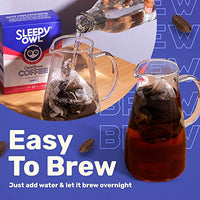 Sleepy Owl Coffee Cinnamon Cold Brew Packs | Set of 3 Packs - Makes 9 Cups |3 Step Brew - No Equipment Required | 100% Arabica Beans - Sourced Directly from Farms