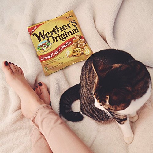 Werther's  Original Hard Sugar Free Caramel Chocolate Candy, 1.46 Ounce (Pack of 12)