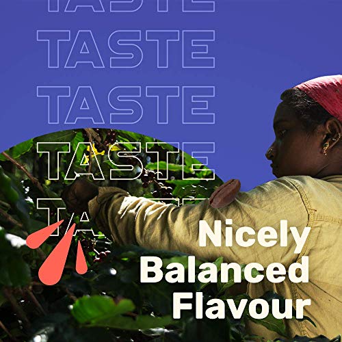 Sleepy Owl Coffee Cinnamon Cold Brew Packs | Set of 3 Packs - Makes 9 Cups |3 Step Brew - No Equipment Required | 100% Arabica Beans - Sourced Directly from Farms