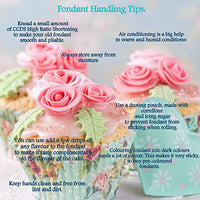 Ccds Fondant Bottle Green, 250 Gm