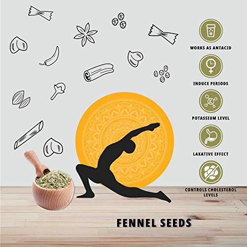 Organature Fresh & Natural Fennel Seeds | Saunf | Variyali | Whole Indian Spices - Pack of (400 Grams)
