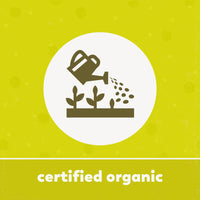 Yupik Organic Powder, Camu Camu, 8.8 oz, Non-GMO, Vegan, Gluten-Free