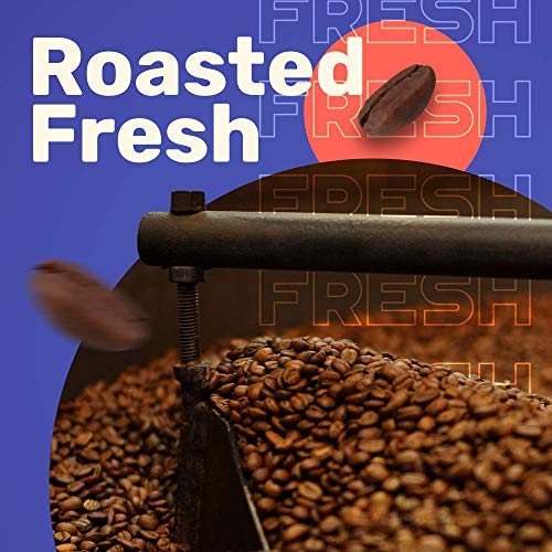 Sleepy Owl Coffee Hazelnut Cold Brew Packs | Set of 5 Packs - Makes 15 Cups |3 Step Brew - No Equipment Required | 100% Arabica Beans - Sourced Directly from Farms