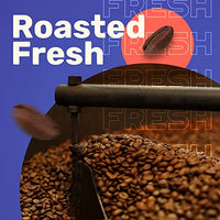 Sleepy Owl Coffee Hazelnut Cold Brew Packs | Set of 5 Packs - Makes 15 Cups |3 Step Brew - No Equipment Required | 100% Arabica Beans - Sourced Directly from Farms