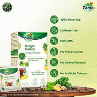 Zandu Ginger Celery Herbal Infusion, a Herbal Tea Enriched with Ayurvedic Ingredients (25 Tea Bags)