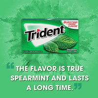 Trident Spearmint Sugar Free Chewing Gum, 14 Count (Pack of 1)