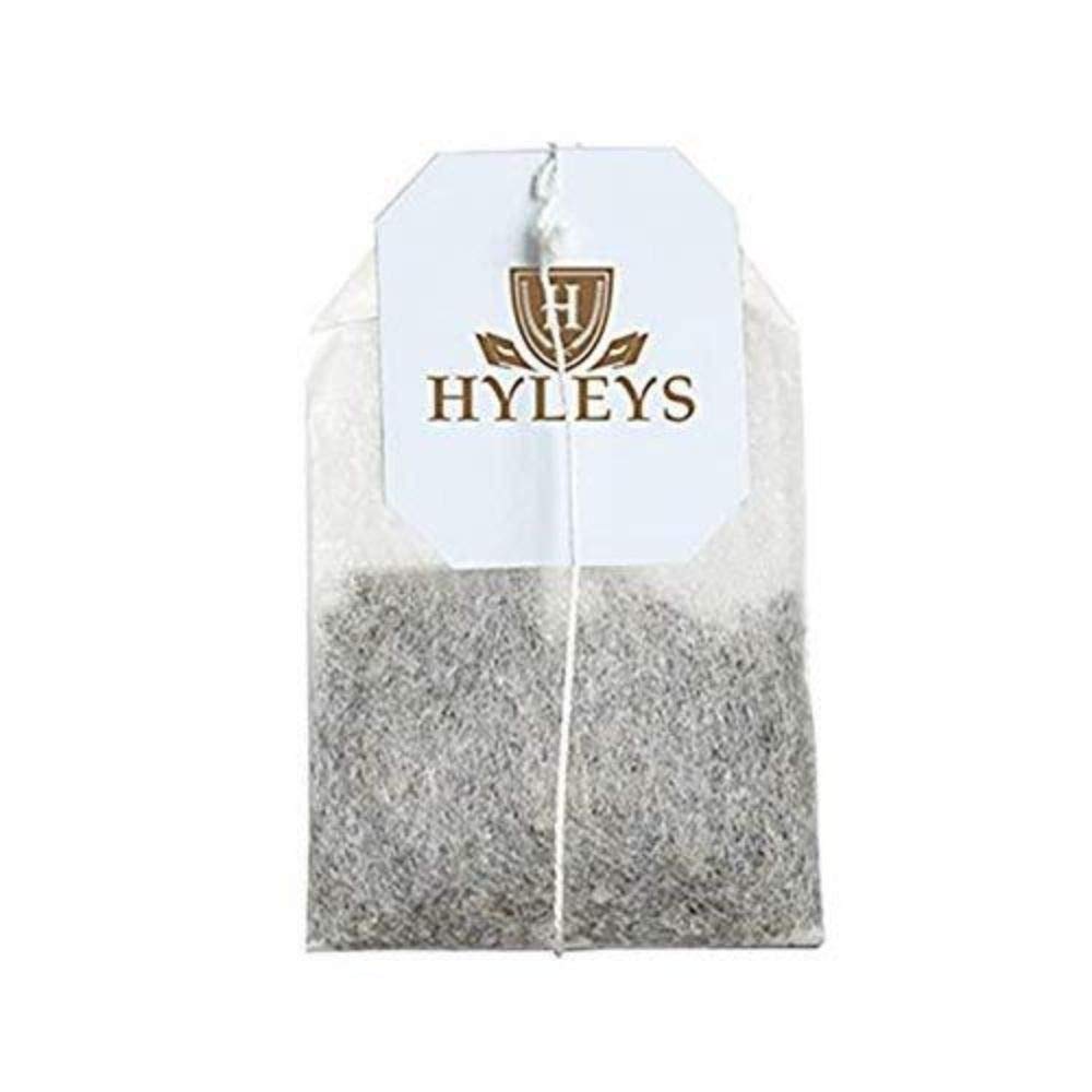 Hyleys Natural Wellness Gymnema Silvestre Green Tea With Blackberry Flavor - 25 Tea Bags (100% Natural, Sugar Free, Gluten Free and Non-GMO) (Packaging May Vary)