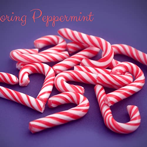 Candy Canes Peppermint 12 Count Specialy Crafted For Cristmas