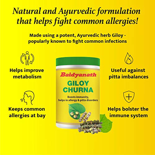 Baidyanath Guduchi (Giloy) Churna - Helps Boost Immunity - 100 gm (pack of 2)
