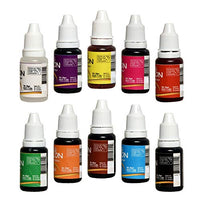 Papilon Concentrated Gel Food Colour Pack of 20gm x 10 Bottles