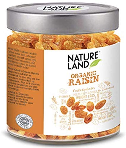 Natureland Organics Raisins / Kismis 250 Gm - Organic Raisins