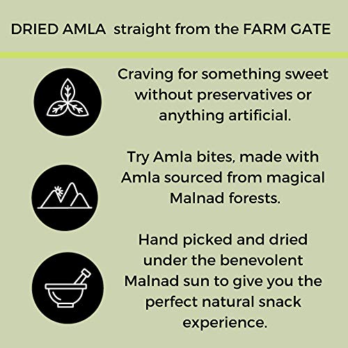 Go Desi Dried Sweet Amla Bites & Lemon Chaat (Pack of 10), 240gm