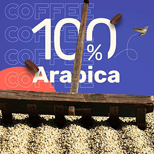 Sleepy Owl Coffee Mocha Cold Brew | 5 Brew Packs - Makes 15 Cups | 3 Step Brew - No Equipment Required | 100% Arabica Beans - Sourced Directly from Farms