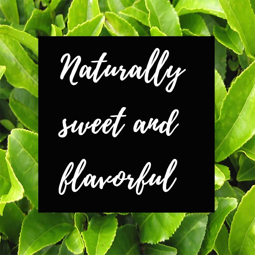 Shangri-La Tea Company Iced, Tropical Passion Decaf, Unsweetened and All Natural, Bag of 6, 1/2 Ounce Pouches (5057)