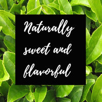 Shangri-La Tea Company Iced Tea, Mango, Unsweetened and All Natural, Pack of 6, 0.5 Ounce each (5058)