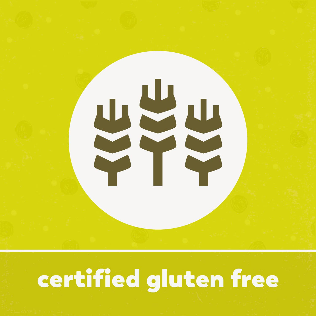 Yupik Organic Sweetened Dried Crunchy Banana Chips, 14.1 Oz, Non-GMO, Vegan, Gluten-Free